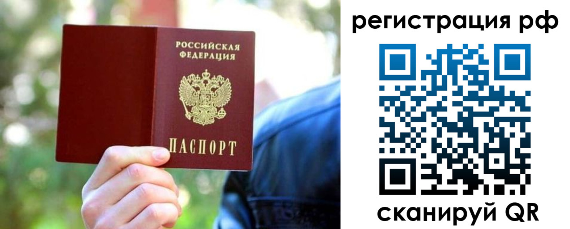 прописка поиск в Ржеве